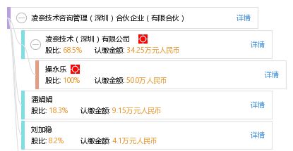 凌奈技術咨詢管理（深圳）合伙企業（有限合伙） 技術賦能與合規運營探析
